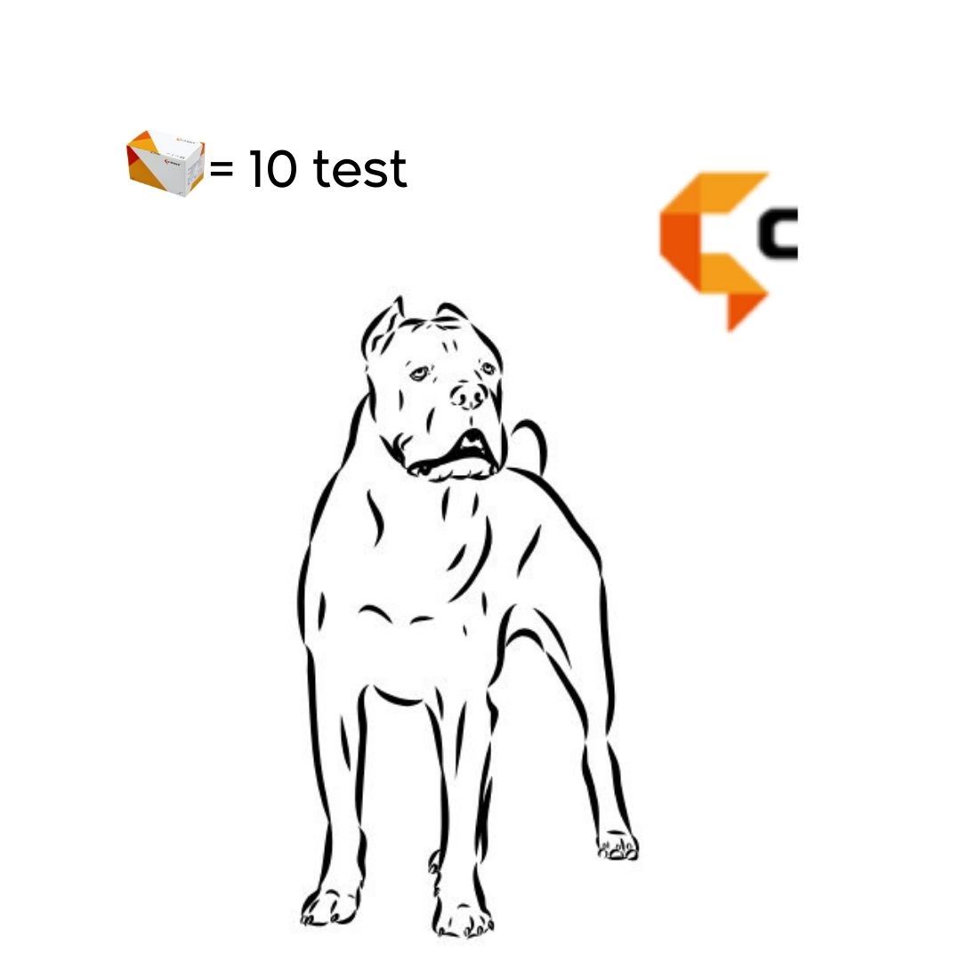EHRLICHIA + LEISHMANIA	(EHR Ab + LSH Ab)